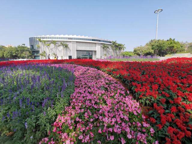 花海景观.jpg