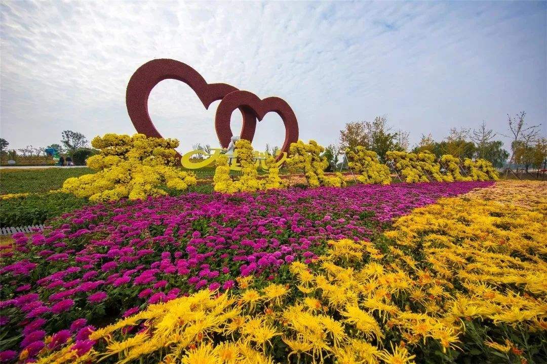 花海景观7.jpg